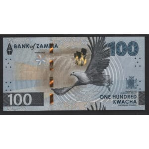 Zambia 100 Kwacha 2024 “Vogel de Visarend”