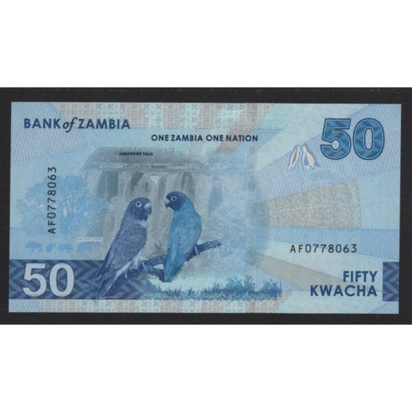 Zambia 50 Kwacha 2024 “Vogel de Visarend” - Afbeelding 2